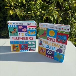 Lift-the-Flap Colorful Kids Books Set